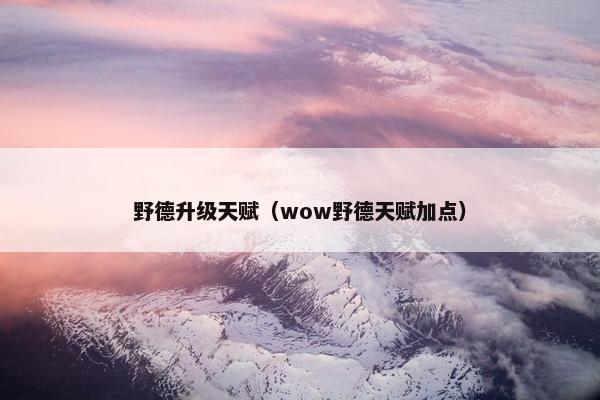 野德升级天赋（wow野德天赋加点）