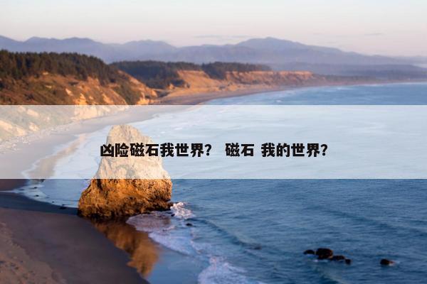 凶险磁石我世界？ 磁石 我的世界？