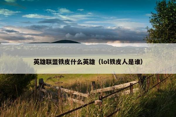 英雄联盟铁皮什么英雄（lol铁皮人是谁）
