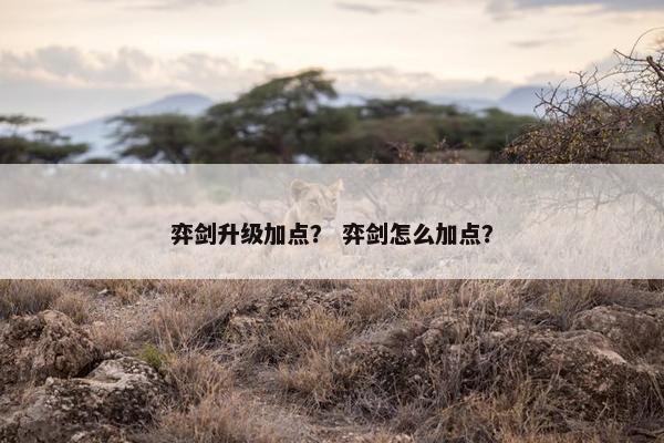 弈剑升级加点？ 弈剑怎么加点？