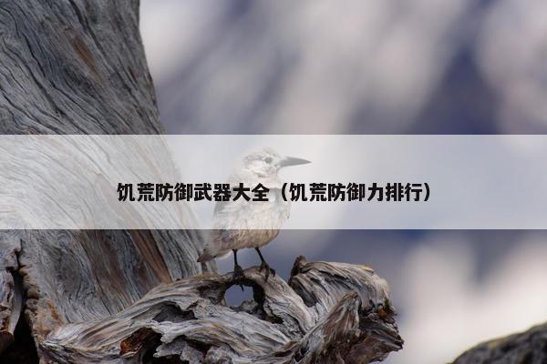 饥荒防御武器大全（饥荒防御力排行）