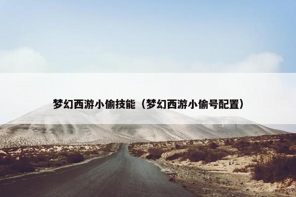 梦幻西游小偷技能（梦幻西游小偷号配置）