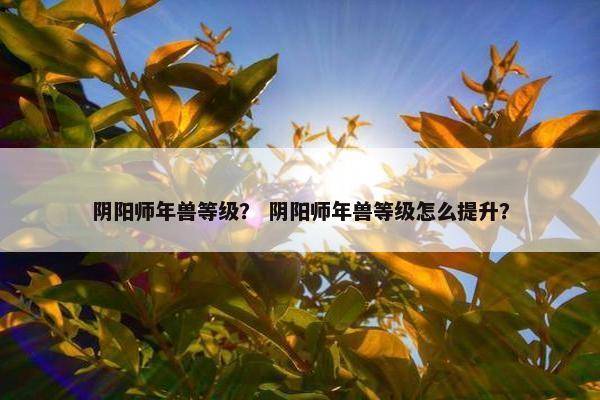 阴阳师年兽等级？ 阴阳师年兽等级怎么提升？