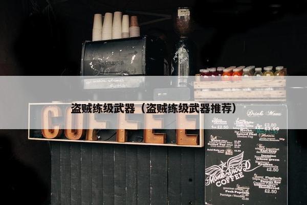盗贼练级武器（盗贼练级武器推荐）