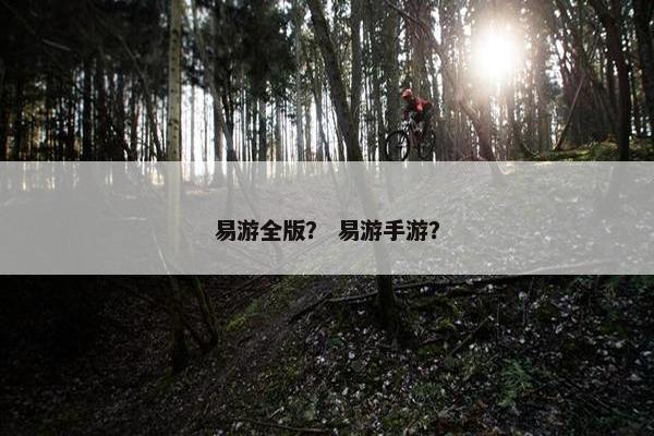 易游全版？ 易游手游？
