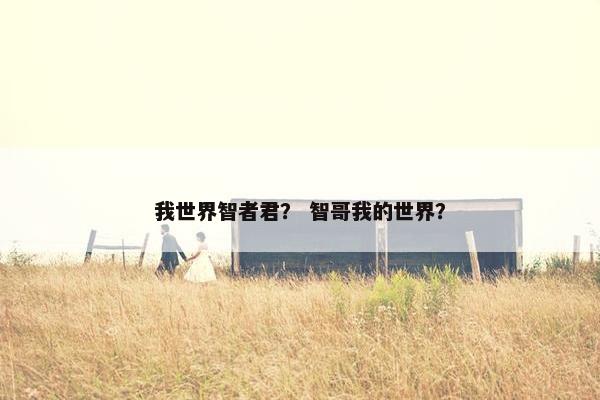 我世界智者君？ 智哥我的世界？