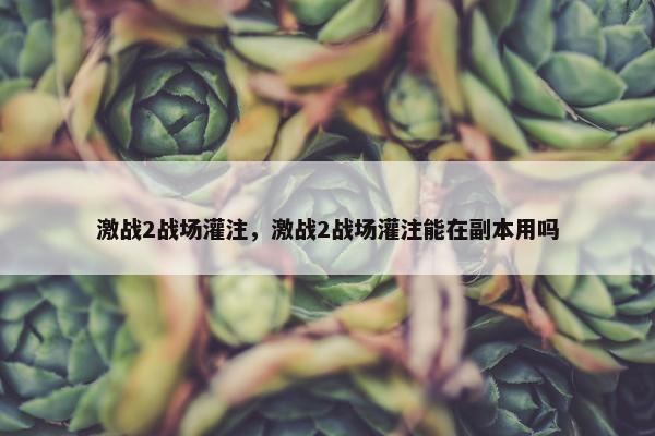 激战2战场灌注，激战2战场灌注能在副本用吗