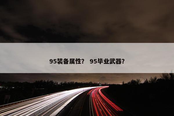 95装备属性？ 95毕业武器？