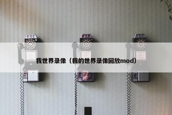 我世界录像（我的世界录像回放mod）