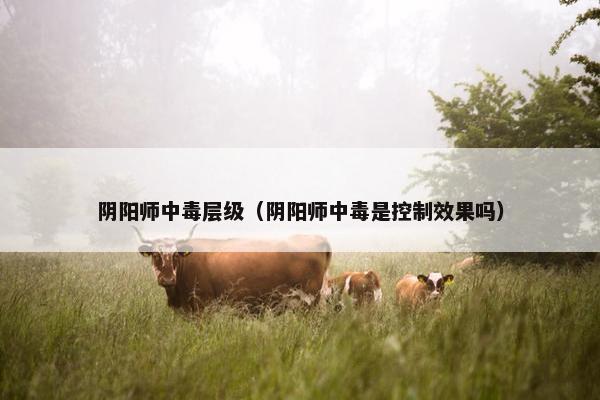 阴阳师中毒层级（阴阳师中毒是控制效果吗）