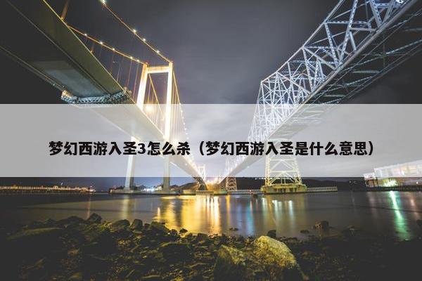 梦幻西游入圣3怎么杀（梦幻西游入圣是什么意思）