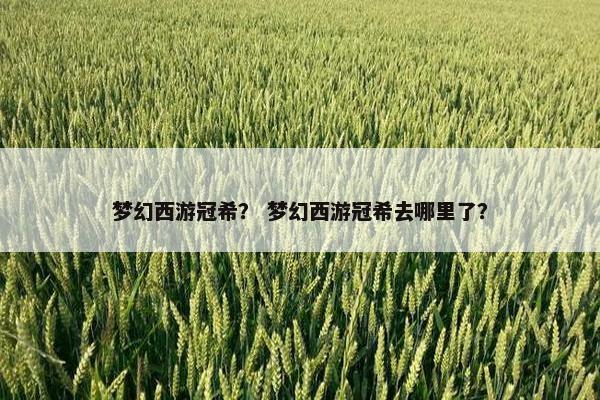 梦幻西游冠希？ 梦幻西游冠希去哪里了？