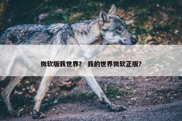 微软版我世界？ 我的世界微软正版？
