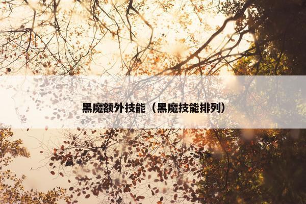 黑魔额外技能（黑魔技能排列）