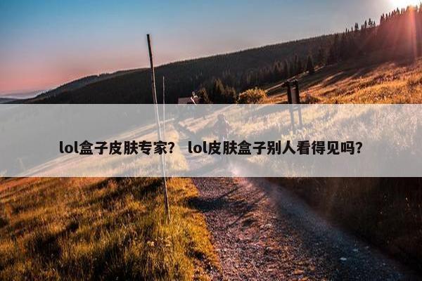 lol盒子皮肤专家？ lol皮肤盒子别人看得见吗？