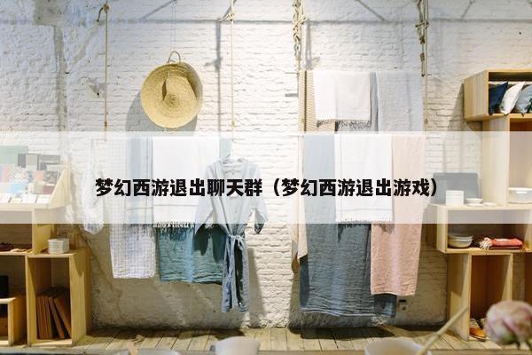 梦幻西游退出聊天群（梦幻西游退出游戏）
