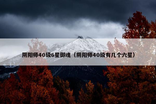 阴阳师40级6星御魂（阴阳师40级有几个六星）