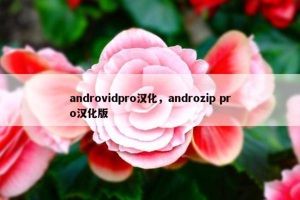 androvidpro汉化，androzip pro汉化版
