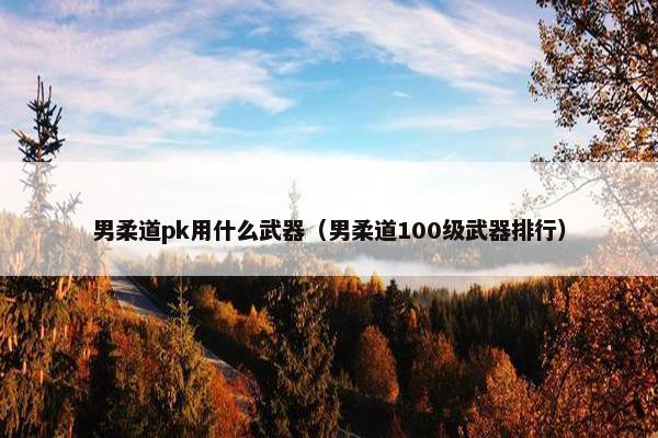 男柔道pk用什么武器（男柔道100级武器排行）
