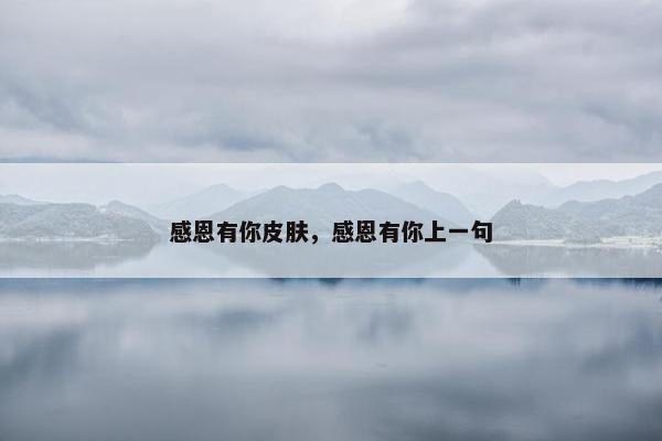 感恩有你皮肤，感恩有你上一句