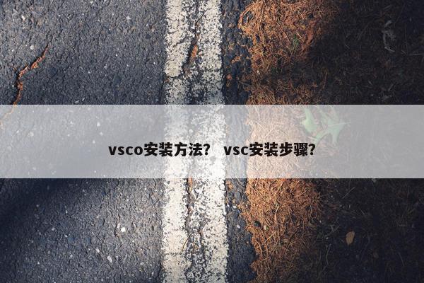 vsco安装方法？ vsc安装步骤？