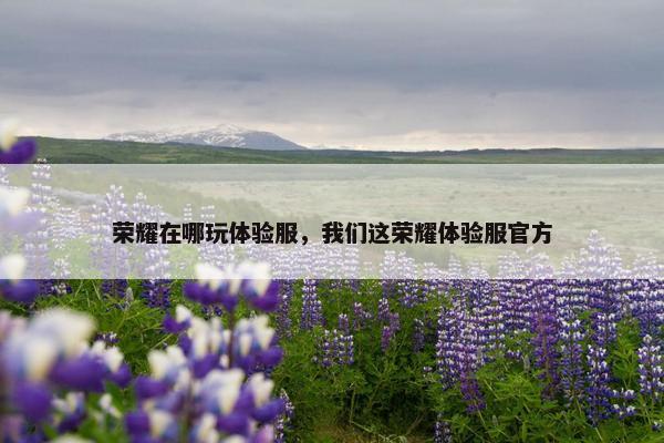 荣耀在哪玩体验服，我们这荣耀体验服官方