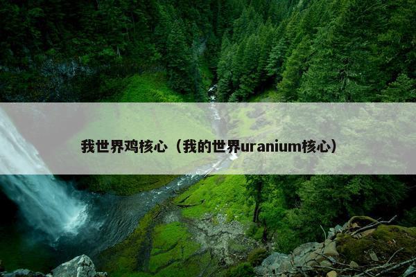 我世界鸡核心（我的世界uranium核心）