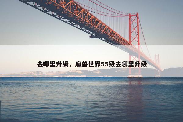 去哪里升级，魔兽世界55级去哪里升级