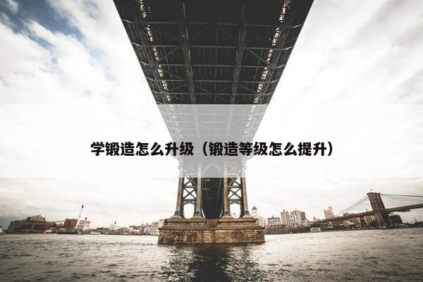 学锻造怎么升级（锻造等级怎么提升）