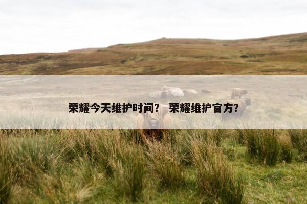 荣耀今天维护时间？ 荣耀维护官方？