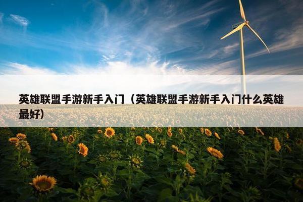 英雄联盟手游新手入门（英雄联盟手游新手入门什么英雄最好）