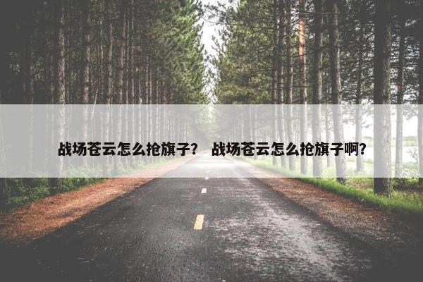 战场苍云怎么抢旗子？ 战场苍云怎么抢旗子啊？