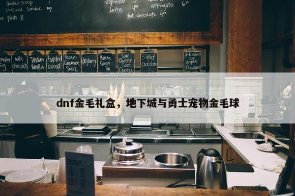 dnf金毛礼盒，地下城与勇士宠物金毛球