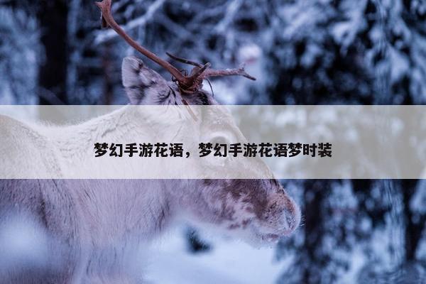 梦幻手游花语，梦幻手游花语梦时装
