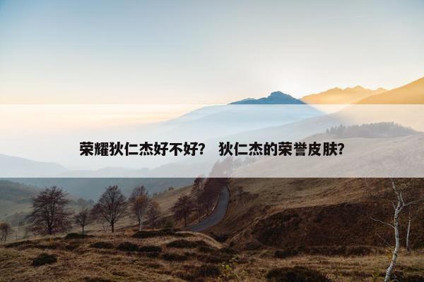 荣耀狄仁杰好不好？ 狄仁杰的荣誉皮肤？