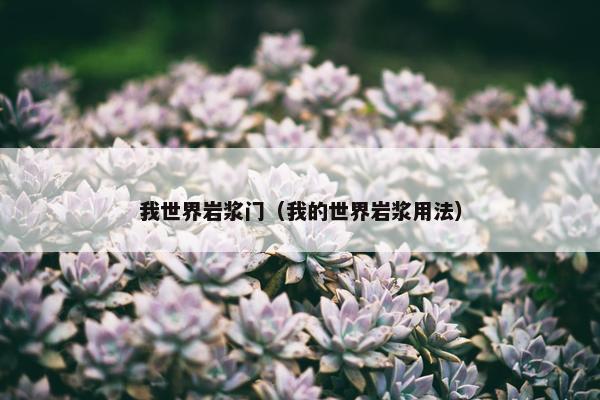 我世界岩浆门（我的世界岩浆用法）