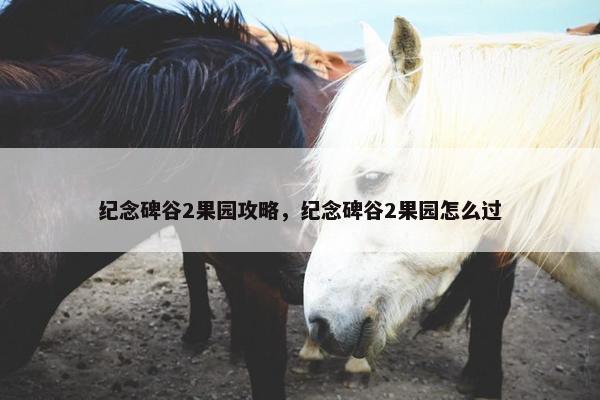纪念碑谷2果园攻略，纪念碑谷2果园怎么过
