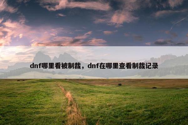 dnf哪里看被制裁，dnf在哪里查看制裁记录
