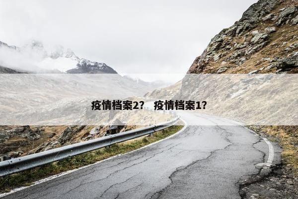 疫情档案2？ 疫情档案1？