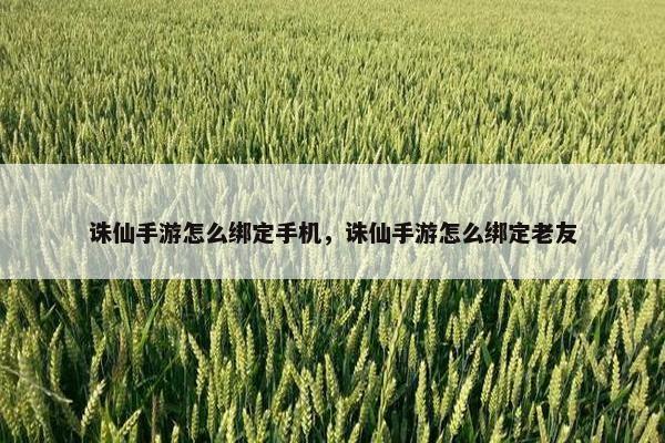 诛仙手游怎么绑定手机，诛仙手游怎么绑定老友
