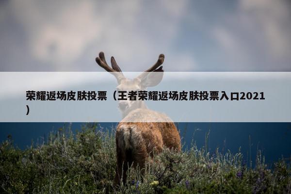 荣耀返场皮肤投票（王者荣耀返场皮肤投票入口2021）