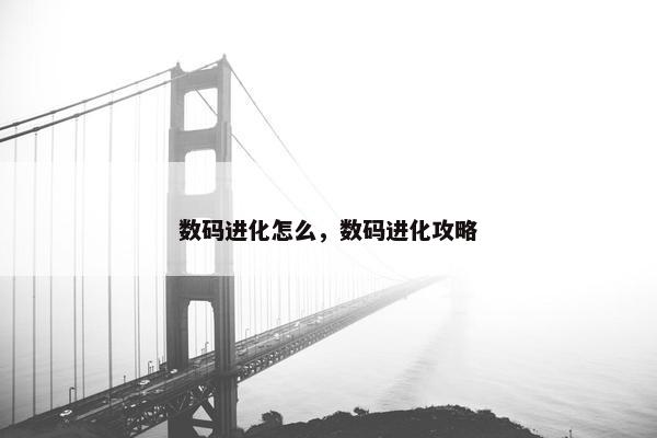 数码进化怎么，数码进化攻略