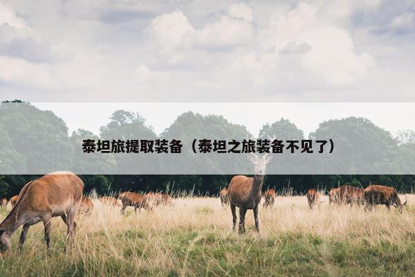 泰坦旅提取装备（泰坦之旅装备不见了）