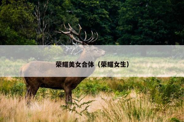 荣耀美女合体（荣耀女生）
