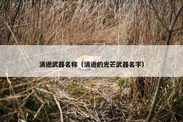 消逝武器名称（消逝的光芒武器名字）