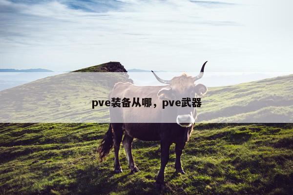pve装备从哪，pve武器