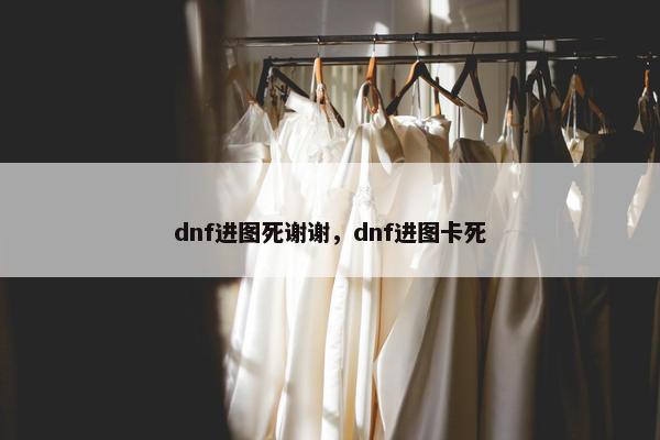 dnf进图死谢谢，dnf进图卡死