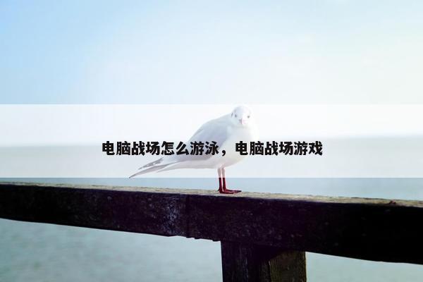 电脑战场怎么游泳，电脑战场游戏