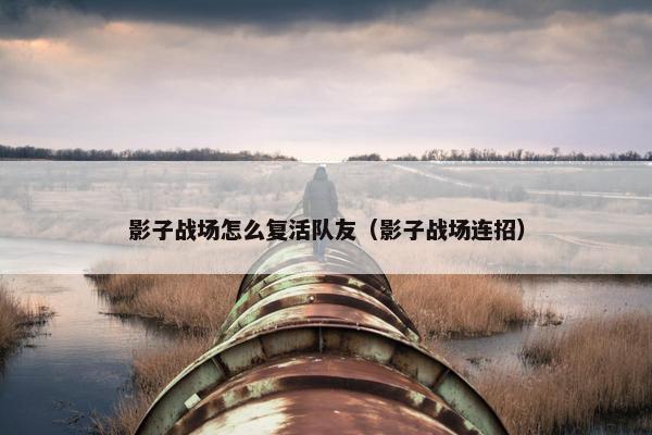 影子战场怎么复活队友（影子战场连招）