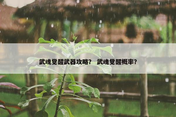 武魂觉醒武器攻略？ 武魂觉醒概率？